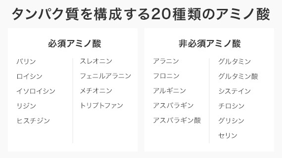 タンパク質を構成する20種類のアミノ酸。必須アミノ酸は、バリン、ロイシン、イソロイシン、リジン、ヒスチジン、フェニルアラニン、メチオニン、トリプトファンの全9種。非必須アミノ酸は、アラニン、プロリン、アルギニン、アスパラギン、アスパラギン酸、グルタミン、グルタミン酸、システイン、チロシン、グリシン、セリンの全11種。