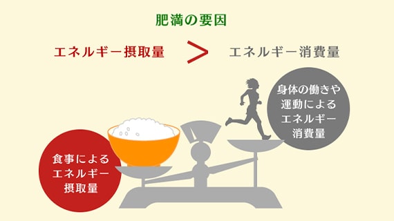メタボの要因の図。身体の動きや運動によるエネルギー消費量よりも食事によるエネルギー摂取量が上回ってしまうため。