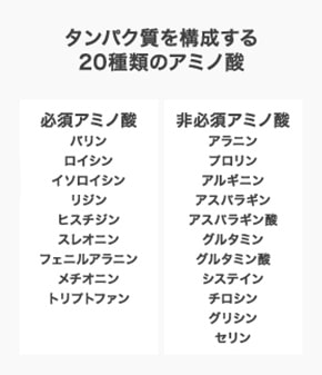 タンパク質を構成する20種類のアミノ酸。必須アミノ酸は、バリン、ロイシン、イソロイシン、リジン、ヒスチジン、フェニルアラニン、メチオニン、トリプトファンの全9種。非必須アミノ酸は、アラニン、プロリン、アルギニン、アスパラギン、アスパラギン酸、グルタミン、グルタミン酸、システイン、チロシン、グリシン、セリンの全11種。