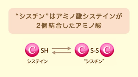 シスチンはアミノ酸システインが２個統合してできたアミノ酸であることを示した図