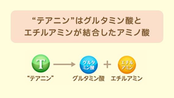 テアニンはグルタミン酸とエチルアミンが統合したアミノ酸であることを示した図