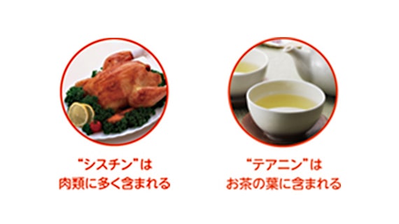 シスチンは肉類に大きく含まれる テアニンはお茶の葉に多く含まれる