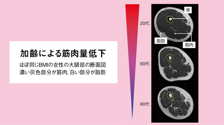 加齢による筋肉量低下