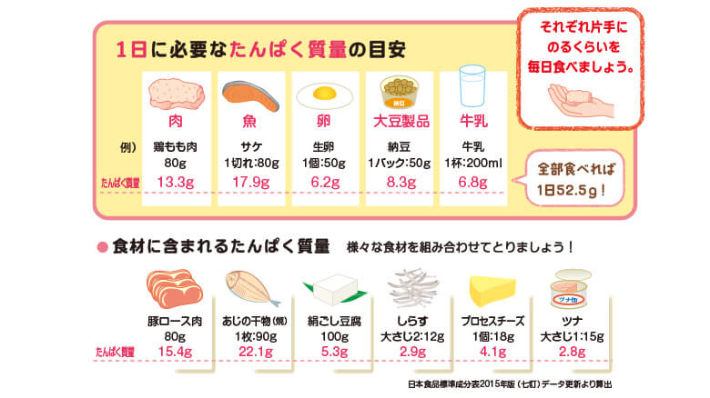 1日に必要な​たんぱく質量の目安と​食材に含まれる​たんぱく質量