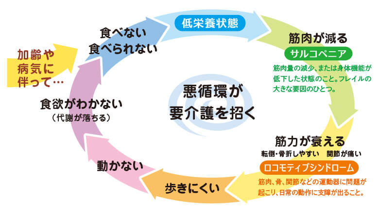 フレイルの悪循環が要介護を招く