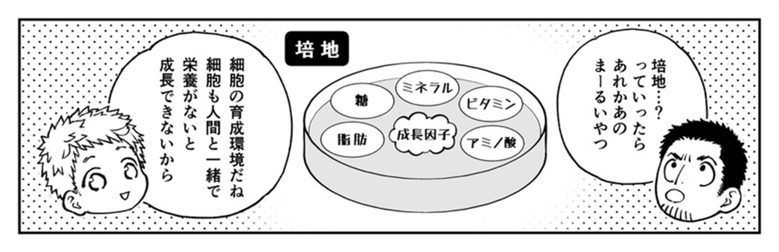 培地って？シャーレのまるいやつ？それは細胞の育成環境だね。細胞も栄養がないと成長できないから