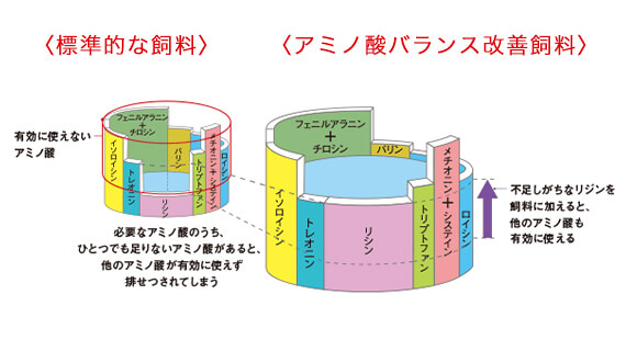 必須アミノ酸「桶の理論」の図。標準的な資料ではリジンが不足しているために有効に使えないアミノ酸が多く残ります。アミノ酸バランス改善飼料ではリジンを飼料に加えることでほかのアミノ酸も有効に使えるようになります。