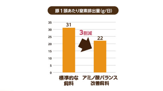 豚1頭あたりの1日の窒素排出量を、標準的な飼料とアミノ酸バランス改善飼料とで比較。前者は1日あたり31グラムに対し、後者は22グラム。アミノ酸バランス改善飼料が約3割低い。
