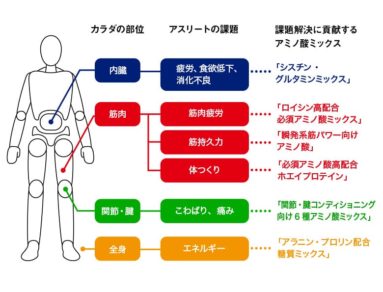 アスリートの競技力向上に重要なアミノ酸ミックスとは