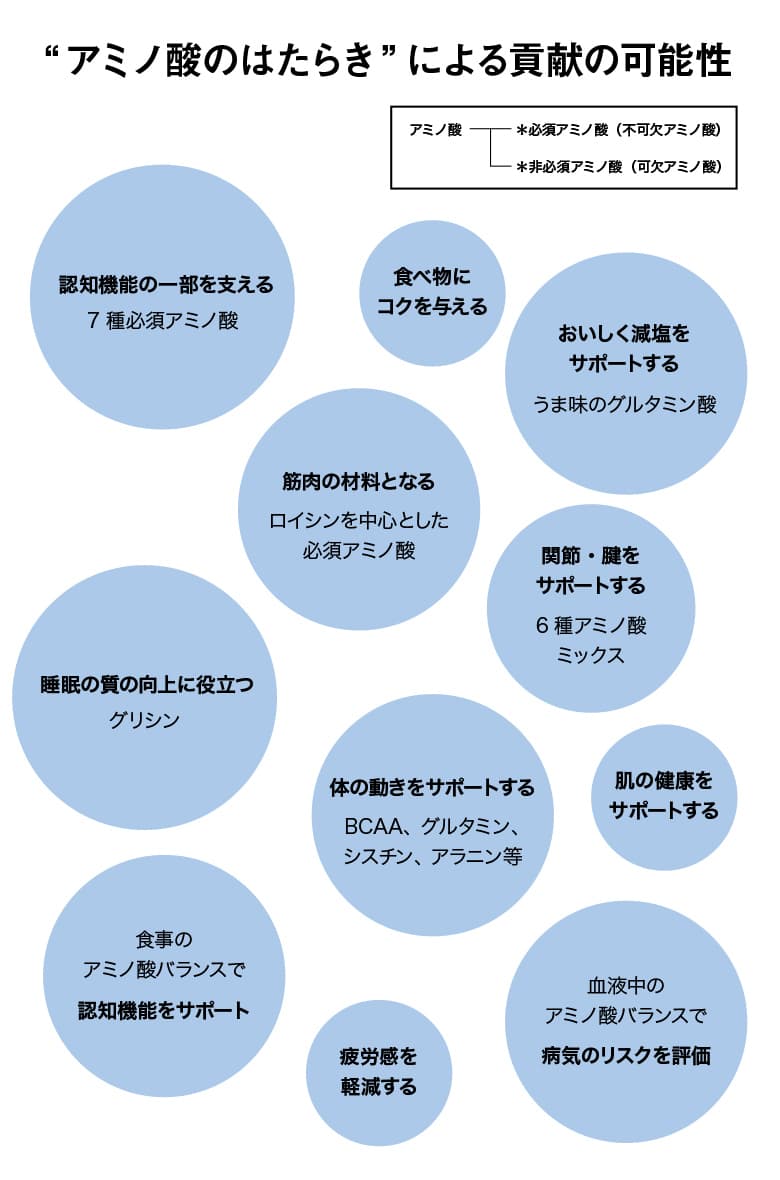 アミノ酸のはたらきによる貢献の可能性