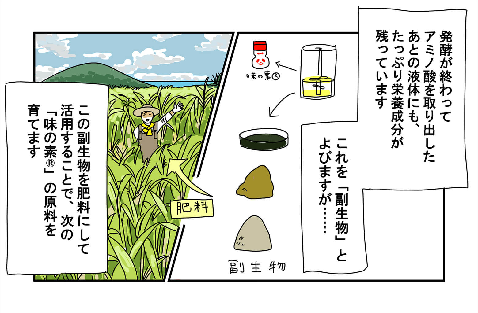 アミノさんの説明はつづきます「発酵が終わってアミノ酸を取り出したあとの液体にも、たっぷり栄養成分が残っています。これを副生物とよびますが。この副生物を肥料にして活用することで、次の「味の素®」の原料を育てます。」